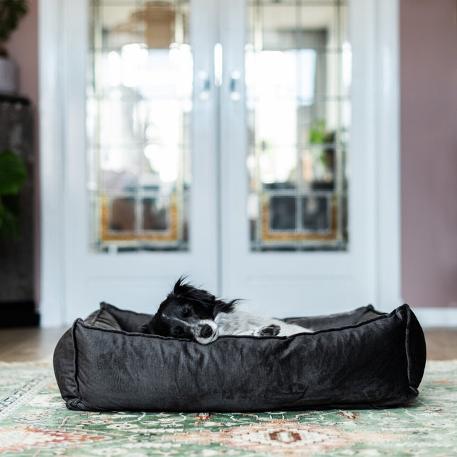 SHIMMER Box Bed