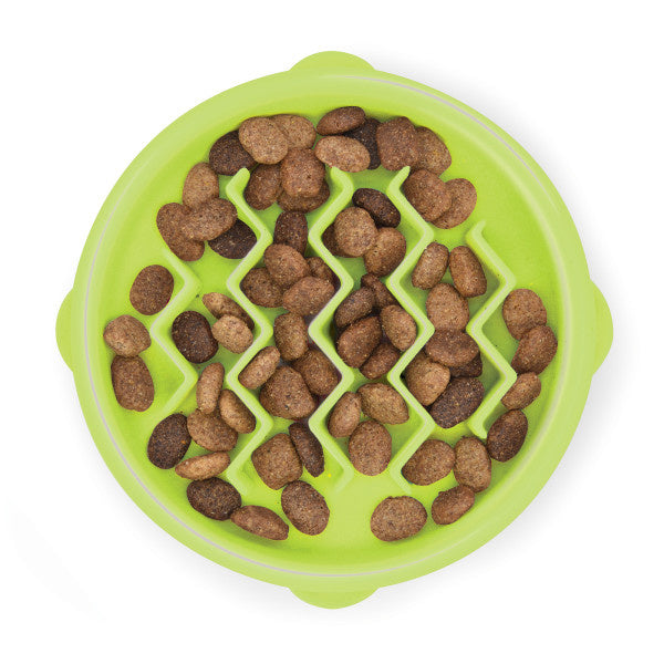 Kitty Slow Feeder