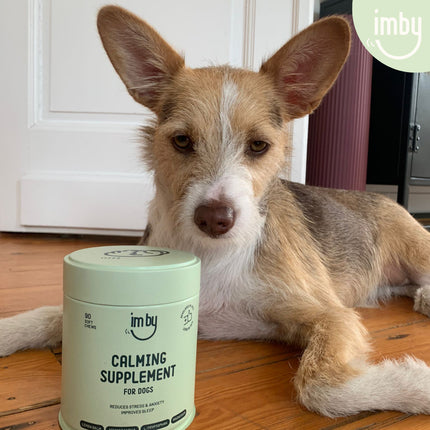 Calming Supplement voor honden