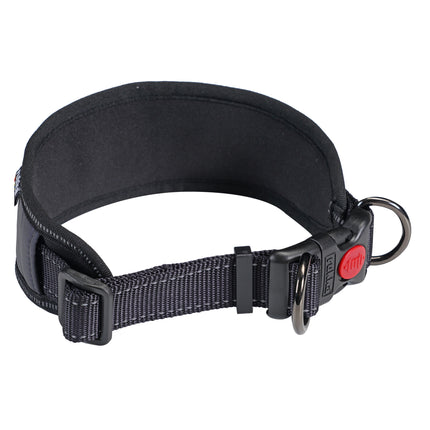Luminous Soft Collar