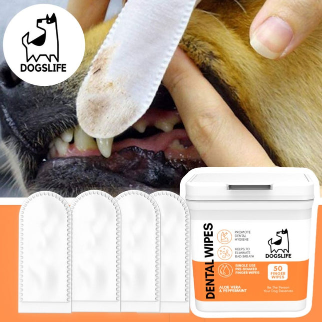 Dental Wipes