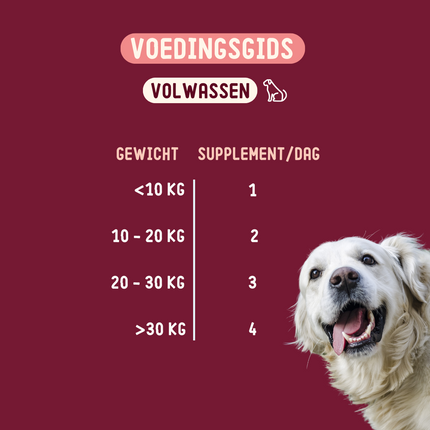 Skin Health Supplement voor honden