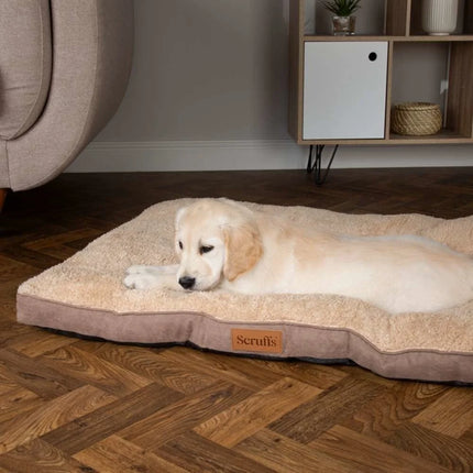 Cosy Mattress