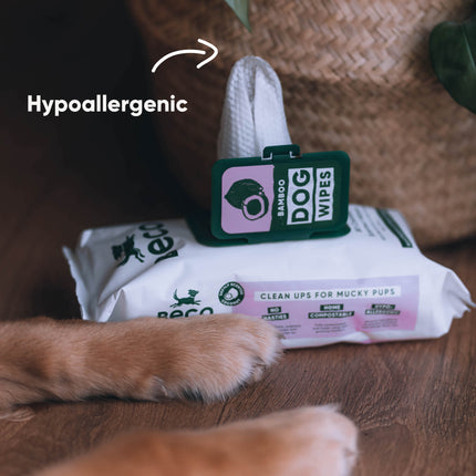 Bamboo Dog Wipes - Coconut Scented - 80 Pack