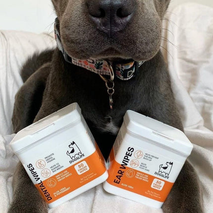 Dental Wipes