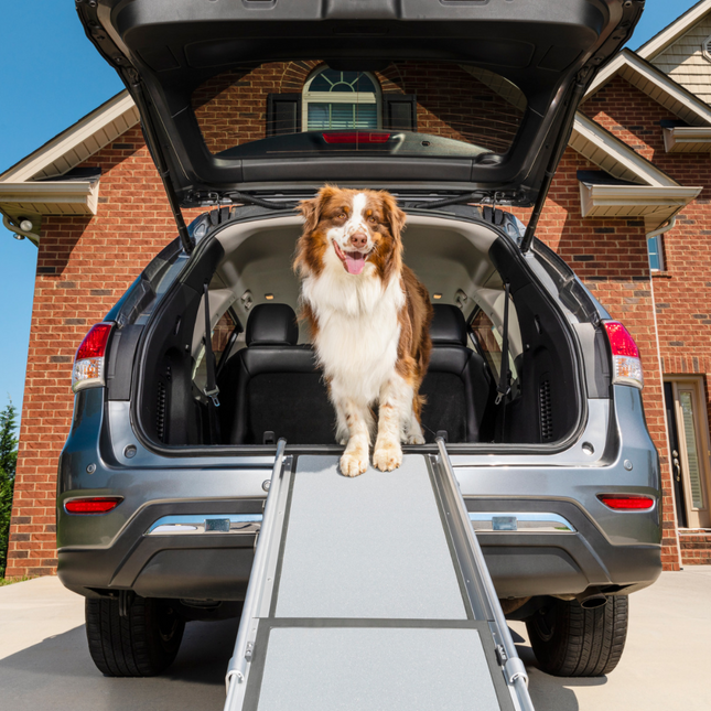 Happy Ride Telescoping Dog Ramp