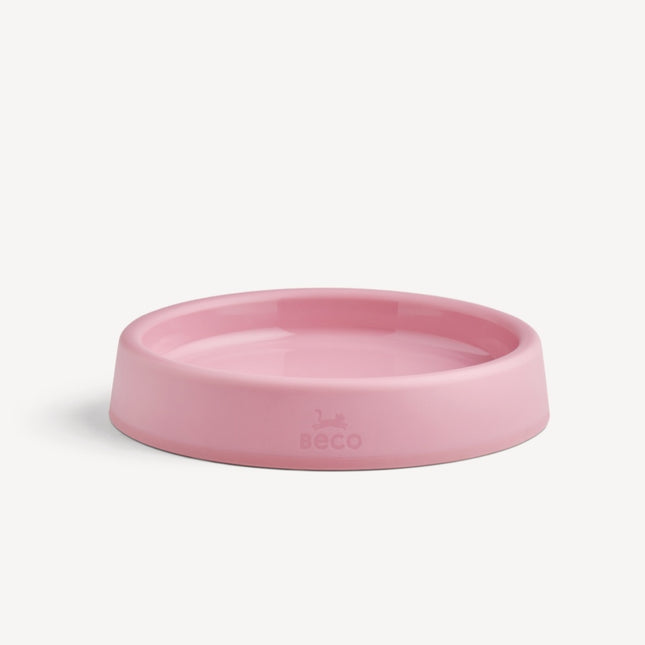 Steady Cat Bowl