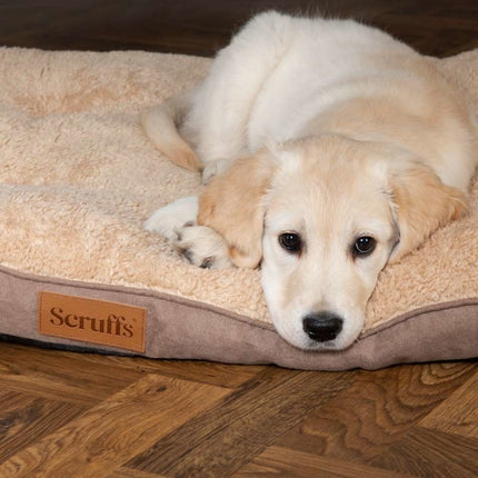 Cosy Mattress