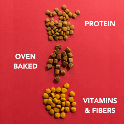 Insect-based Dry Food - Medium