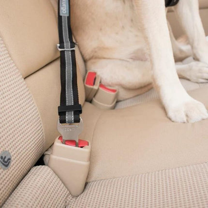 Dog Seatbelt Loop