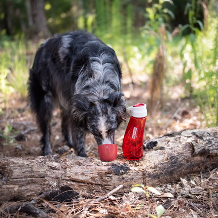 Gourd H2O Bottle & Bowl Trinkflasche