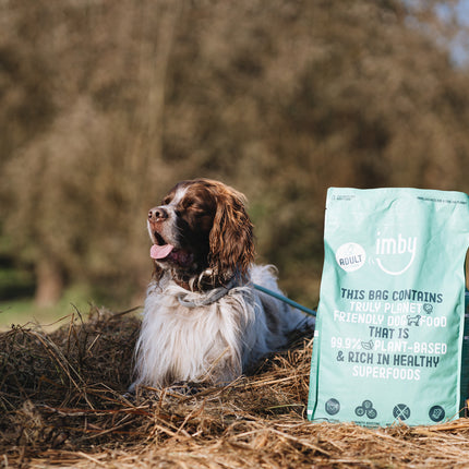 Plant-based Dry Food - Adult