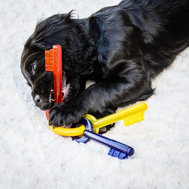 Puppy Chew Teething Keys Bacon