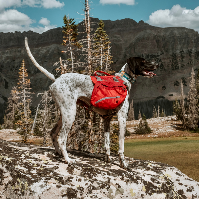 Big Baxter Backpack