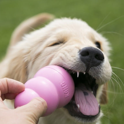Puppy Kong