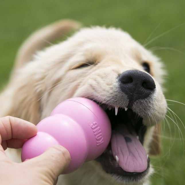 Puppy Kong
