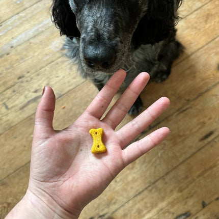 Treats - Peanut with Coconut & Turmeric