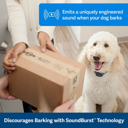 Audible Bark Collar