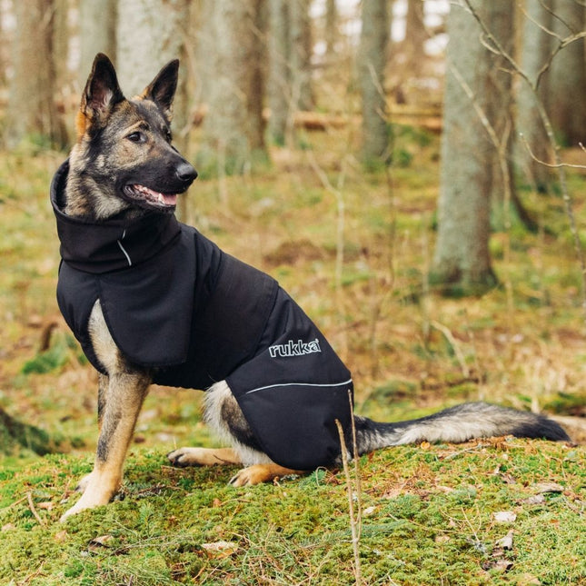 Windy Thermal Jacket