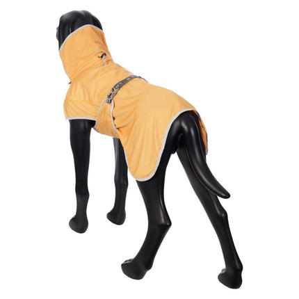 Crisp Kühljacke