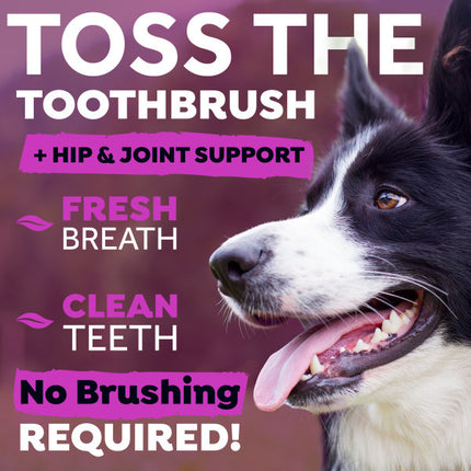 Fresh Breath - Water Additief Plus Hip & Joint voor honden
