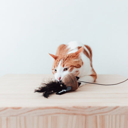 BAIT Kattenhengel