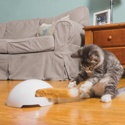 Fox Den Toy Automatic Cat Teaser