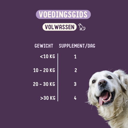 Hip & Joint Supplement voor honden