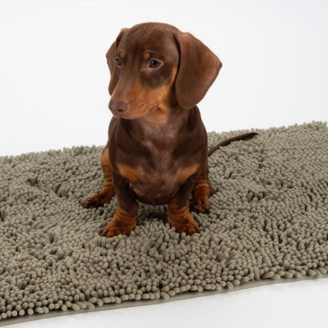 Display Noodle Dry Mat - 32 stuks