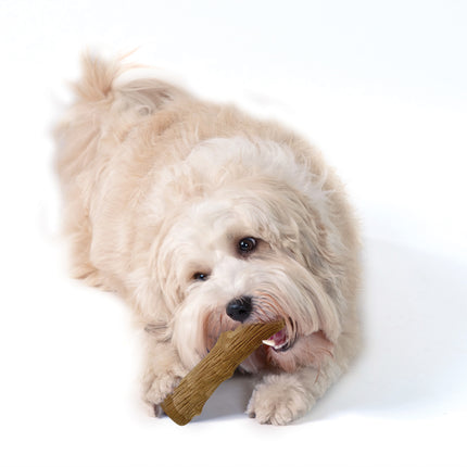 Dogwood Durable Stick