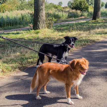 Adjustable Double Dog Leash