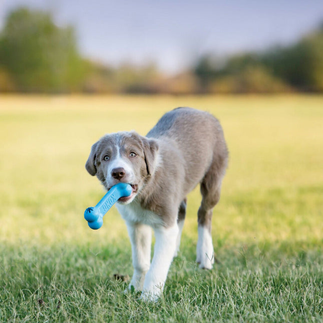 Puppy Goodie Bone - Assorti