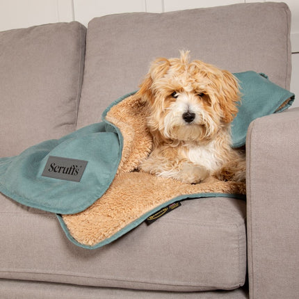 Display Cosy Blanket - 40 stuks