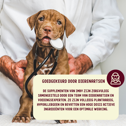 Allergy & Itch Supplement voor honden