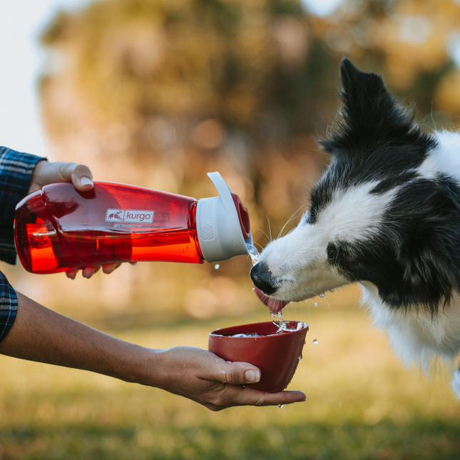 Gourd H2O Bottle & Bowl
