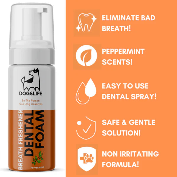 Dental Foam