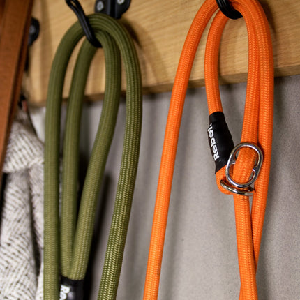 Training Leash