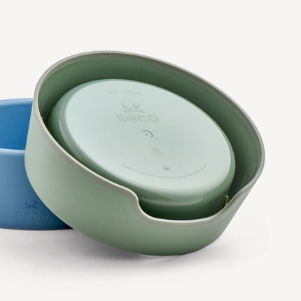 Steady Dog Bowl