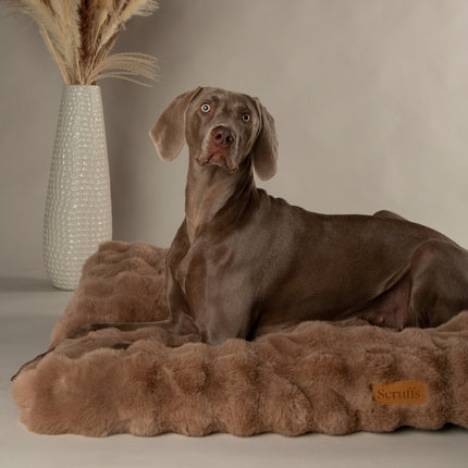 Alpine Mattress