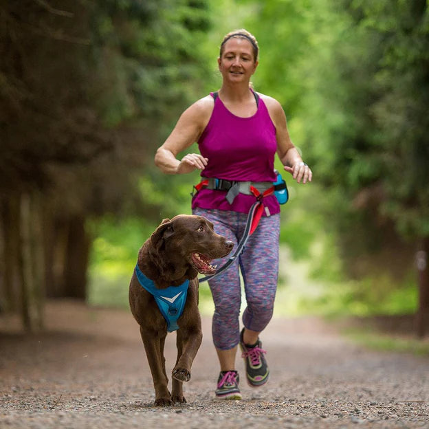 Springback Leash