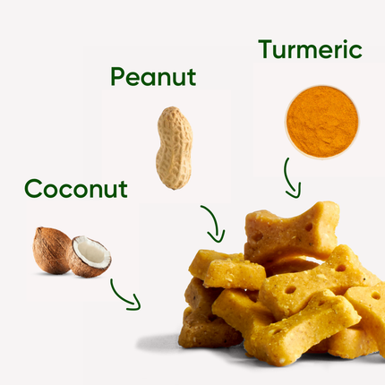 Treats - Peanut with Coconut & Turmeric