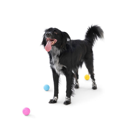 Zogoflex Echo Boundr