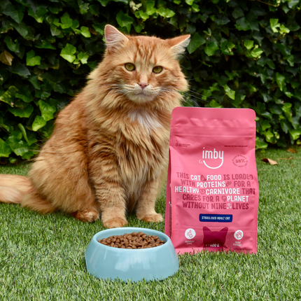 Insect Based Cat Food