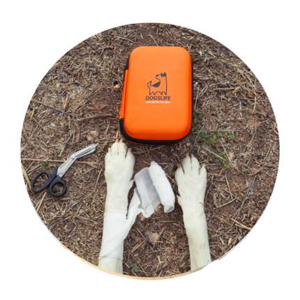 Emergency Kit