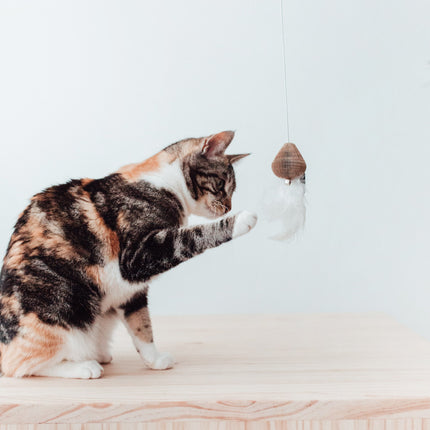 SMASH Kattenhengel