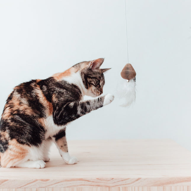 SMASH Kattenhengel