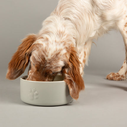 Icon Pet Food Bowl