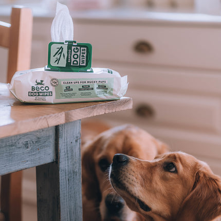 Bamboo Dog Wipes - Unscented - 80 Pack