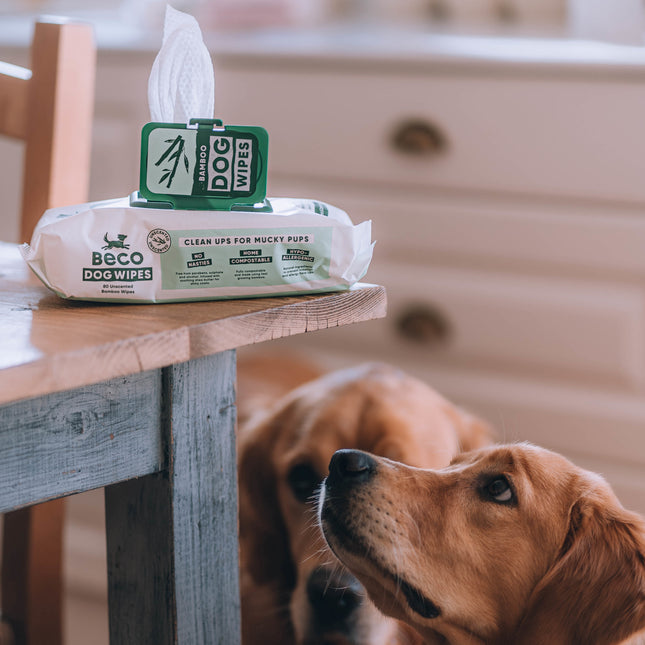 Bamboo Dog Wipes – Duftneutral – 80er-Pack