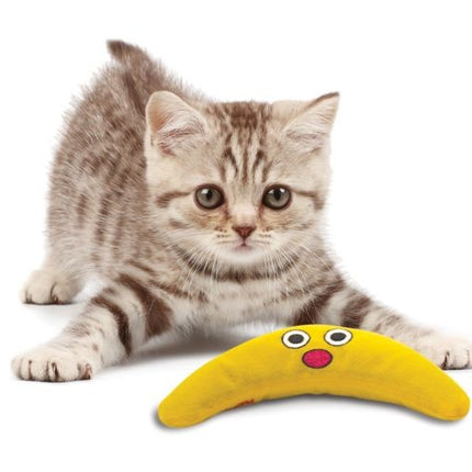 Catnip Boomerang Buddy